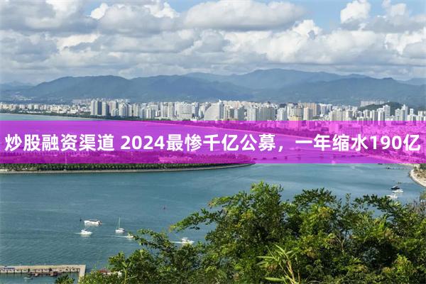 炒股融资渠道 2024最惨千亿公募，一年缩水190亿