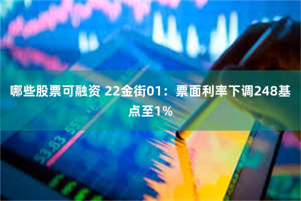 哪些股票可融资 22金街01：票面利率下调248基点至1%