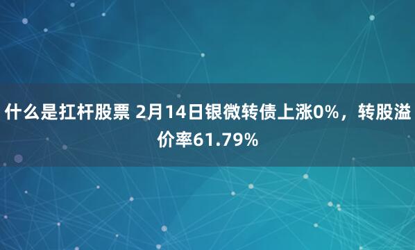 什么是扛杆股票 2月14日银微转债上涨0%，转股溢价率61.79%