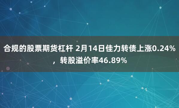 合规的股票期货杠杆 2月14日佳力转债上涨0.24%，转股溢价率46.89%