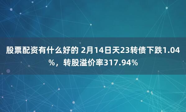 股票配资有什么好的 2月14日天23转债下跌1.04%，转股溢价率317.94%