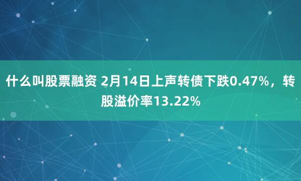 什么叫股票融资 2月14日上声转债下跌0.47%，转股溢价率13.22%