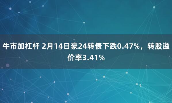 牛市加杠杆 2月14日豪24转债下跌0.47%，转股溢价率3.41%