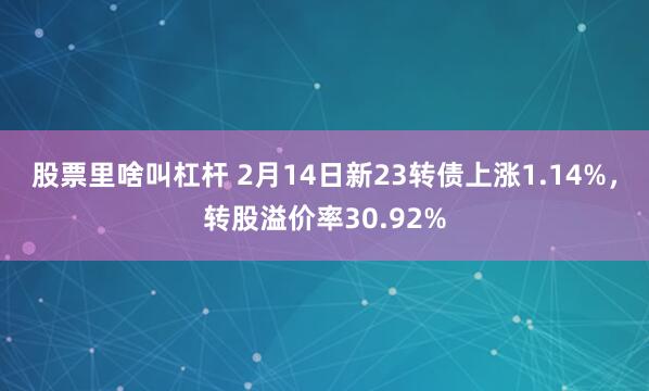 股票里啥叫杠杆 2月14日新23转债上涨1.14%，转股溢价率30.92%