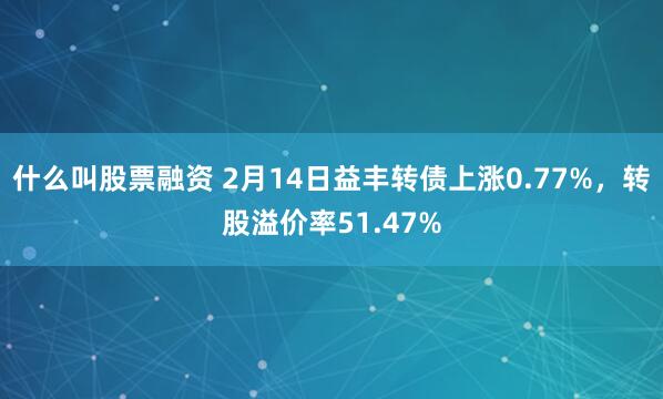 什么叫股票融资 2月14日益丰转债上涨0.77%，转股溢价率51.47%