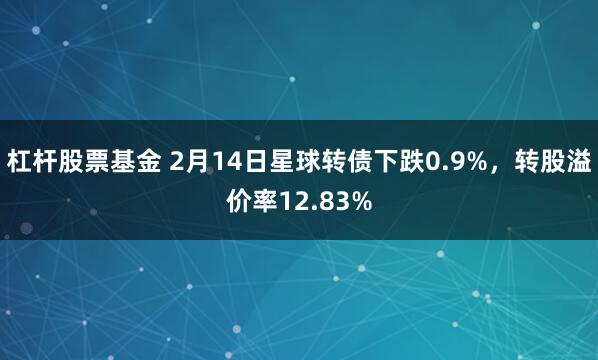 杠杆股票基金 2月14日星球转债下跌0.9%，转股溢价率12.83%