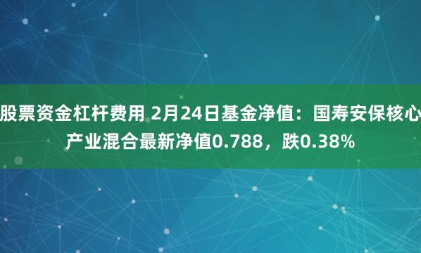 股票资金杠杆费用 2月24日基金净值：国寿安保核心产业混合最新净值0.788，跌0.38%