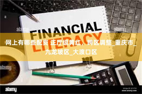 网上有哪些配资 正厅级黄红，跨区调整_重庆市_九龙坡区_大渡口区